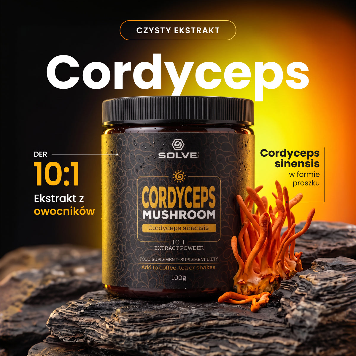 Cordyceps (Maczużnik chiński) – Ekstrakt DER 10:1 | Proszek – zdjęcie 4