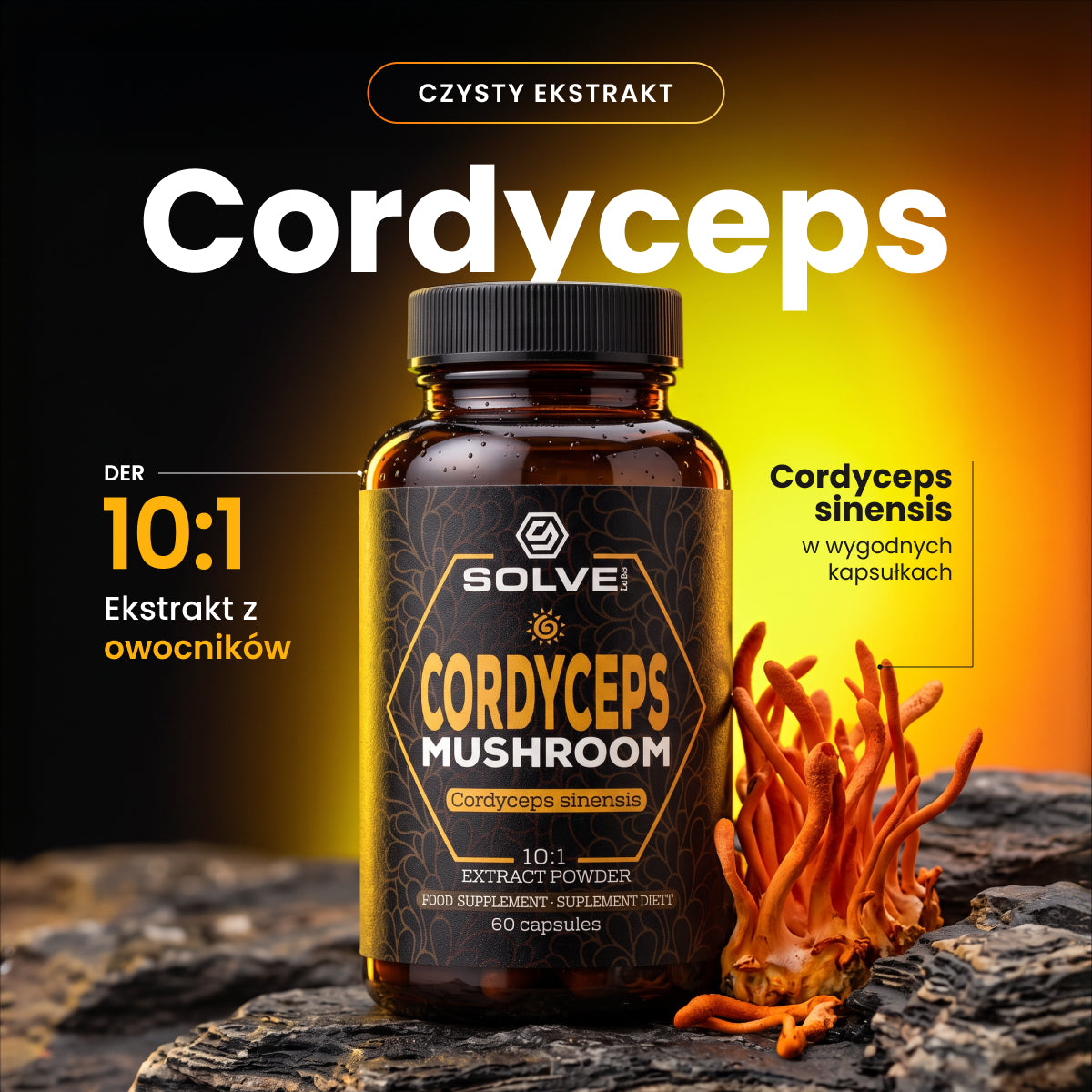 Cordyceps (Maczużnik chiński) – Ekstrakt DER 10:1 | Kapsułki – zdjęcie 2