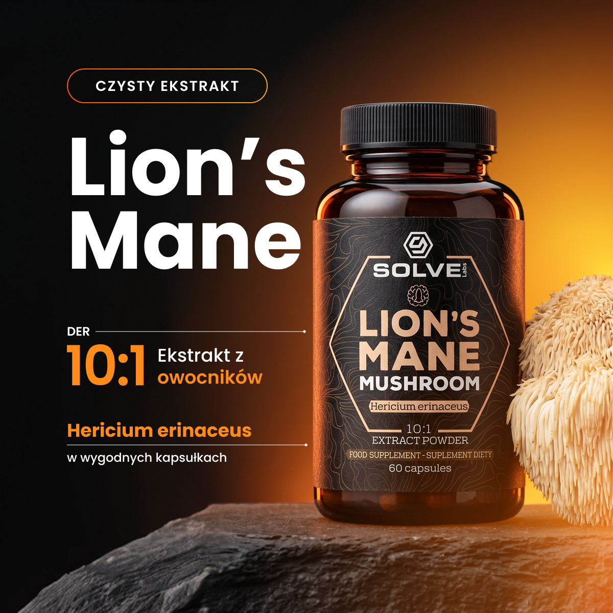 Soplówka Jeżowata (Lion's Mane) – Ekstrakt DER 10:1 | Kapsułki – zdjęcie 2
