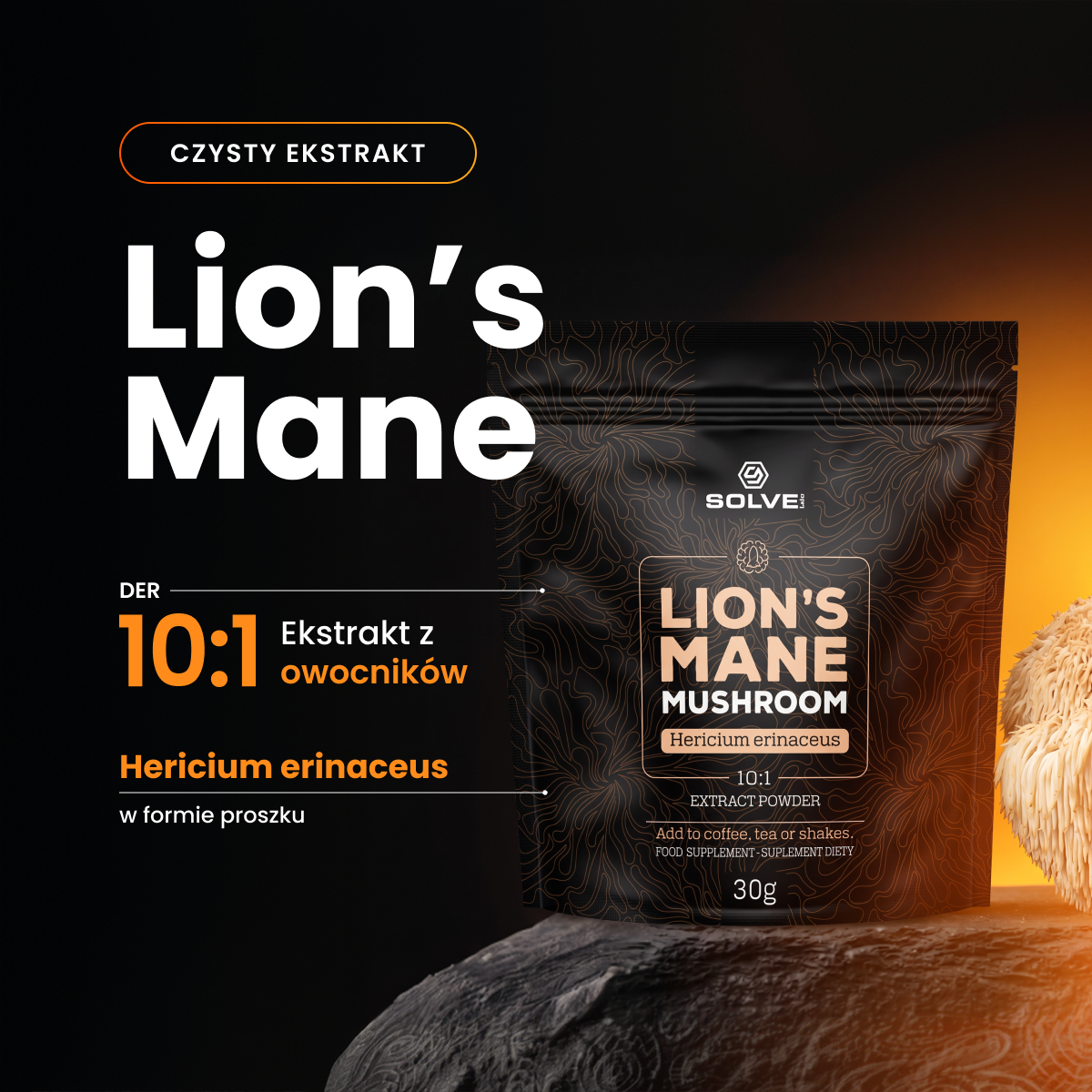 Soplówka Jeżowata (Lion's Mane) – Ekstrakt DER 10:1 | Proszek – zdjęcie 2