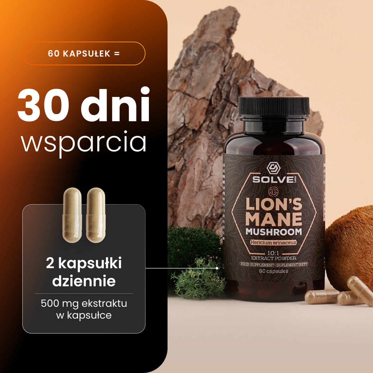 Soplówka Jeżowata (Lion's Mane) – Ekstrakt DER 10:1 | Kapsułki – zdjęcie 4
