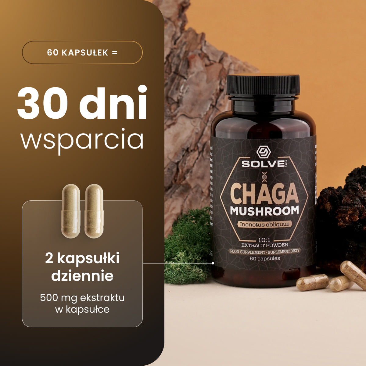 Chaga (Czaga, Błyskoporek podkorowy) – Ekstrakt DER 10:1 | Kapsułki – zdjęcie 3
