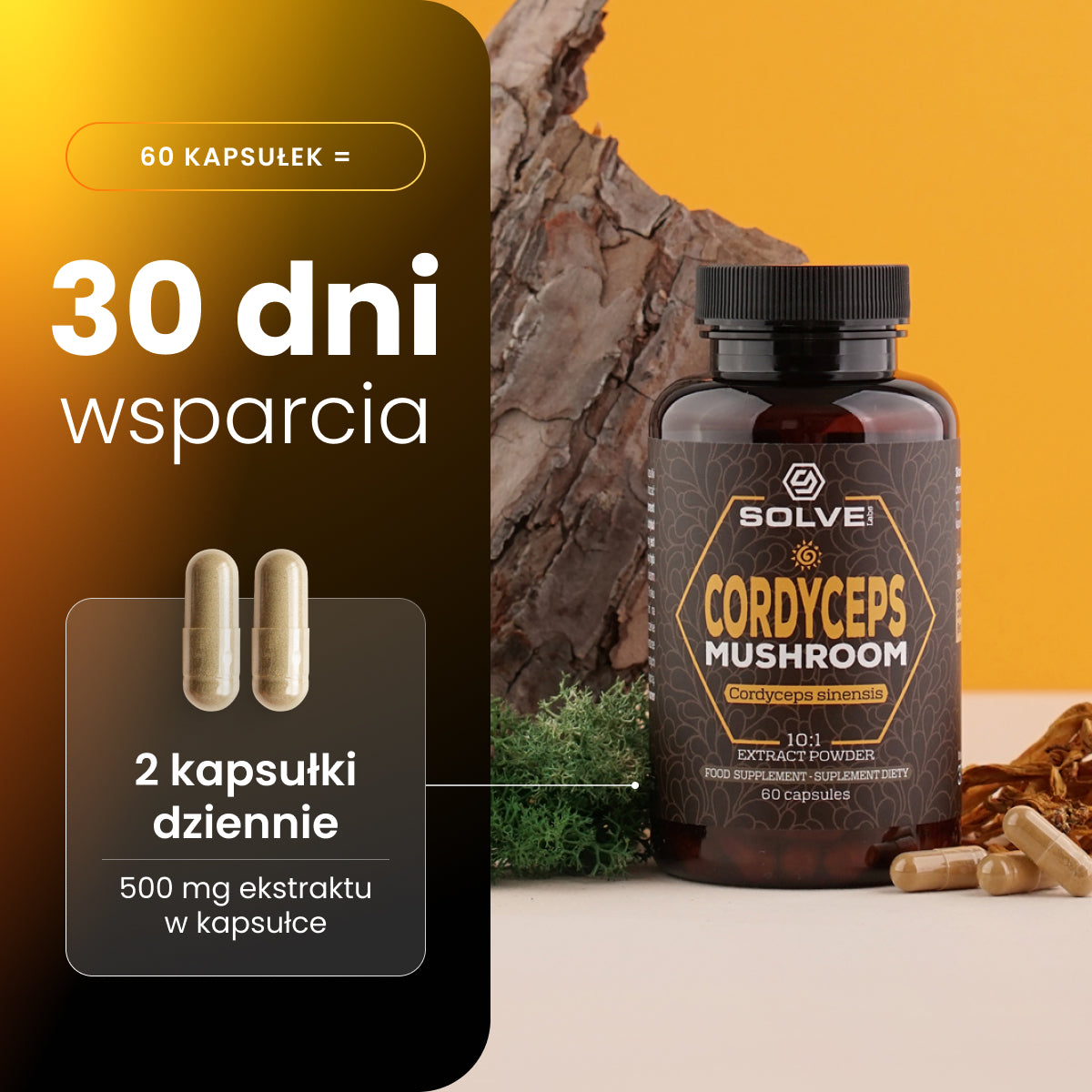 Cordyceps (Maczużnik chiński) – Ekstrakt DER 10:1 | Kapsułki – zdjęcie 4