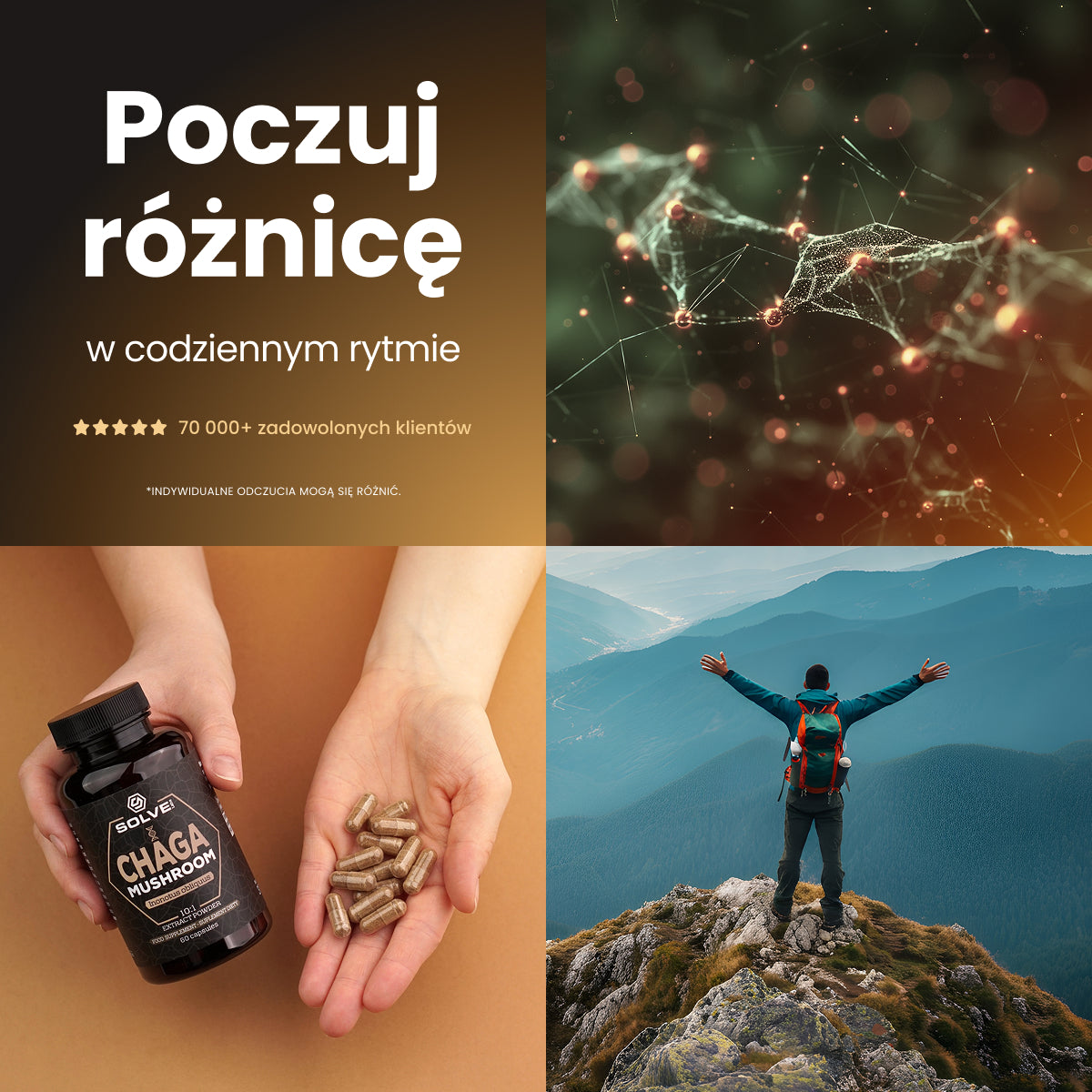 Chaga (Czaga, Błyskoporek podkorowy) – Ekstrakt DER 10:1 | Kapsułki – zdjęcie 8