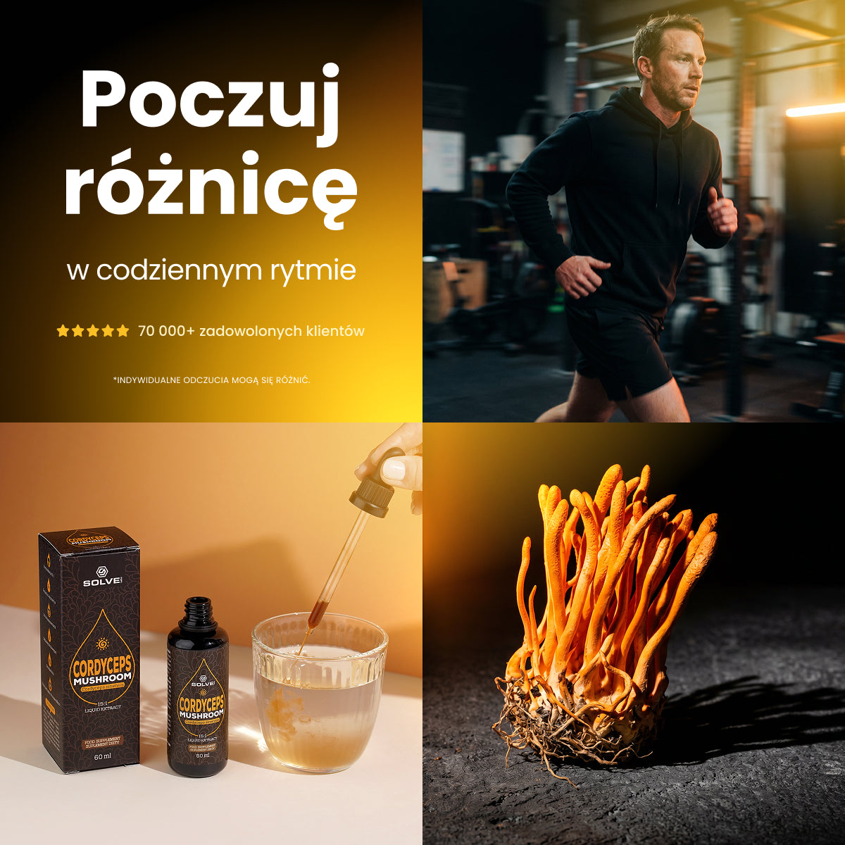 Cordyceps (Maczużnik chiński) – Ekstrakt DER 15:1 | Krople (60 ml) – zdjęcie 5