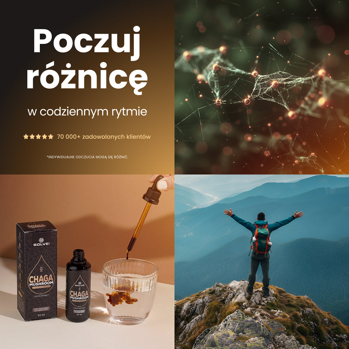 Chaga (Czaga, Błyskoporek podkorowy) – Ekstrakt DER 15:1 | Krople – zdjęcie 9