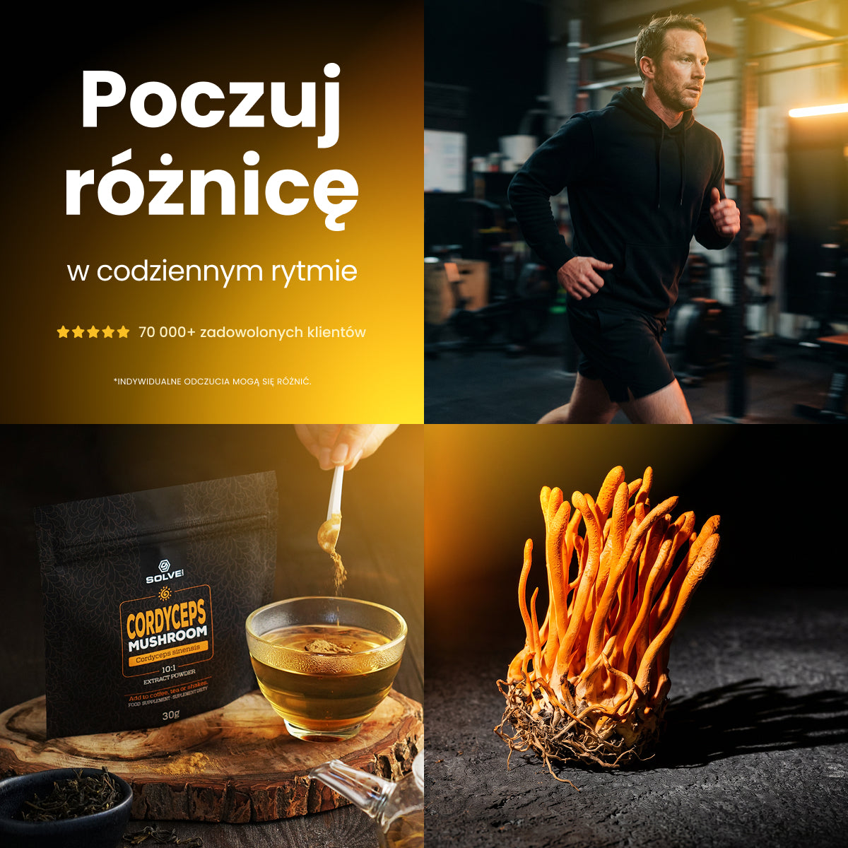 Cordyceps (Maczużnik chiński) – Ekstrakt DER 10:1 | Proszek – zdjęcie 9