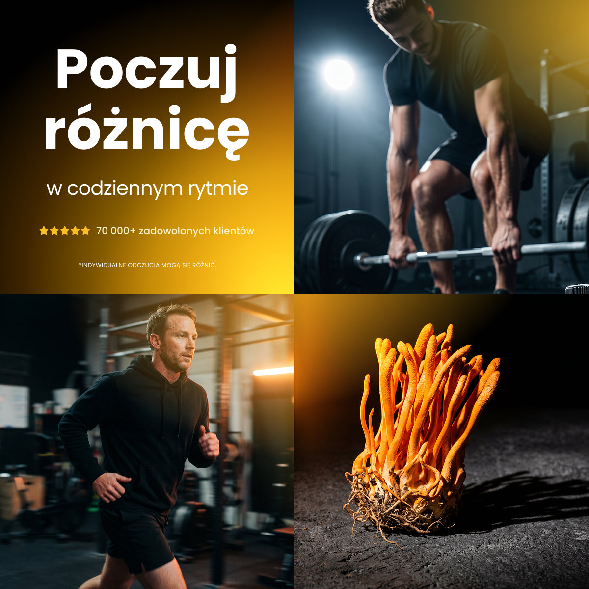 Cordyceps (Maczużnik chiński) – Ekstrakt DER 10:1 | Kapsułki – zdjęcie 5