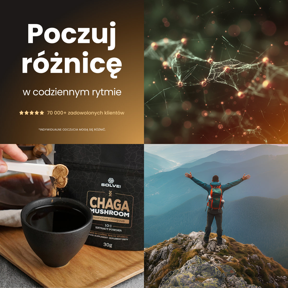 Chaga (Czaga, Błyskoporek podkorowy) – Ekstrakt DER 10:1 | Proszek – zdjęcie 9