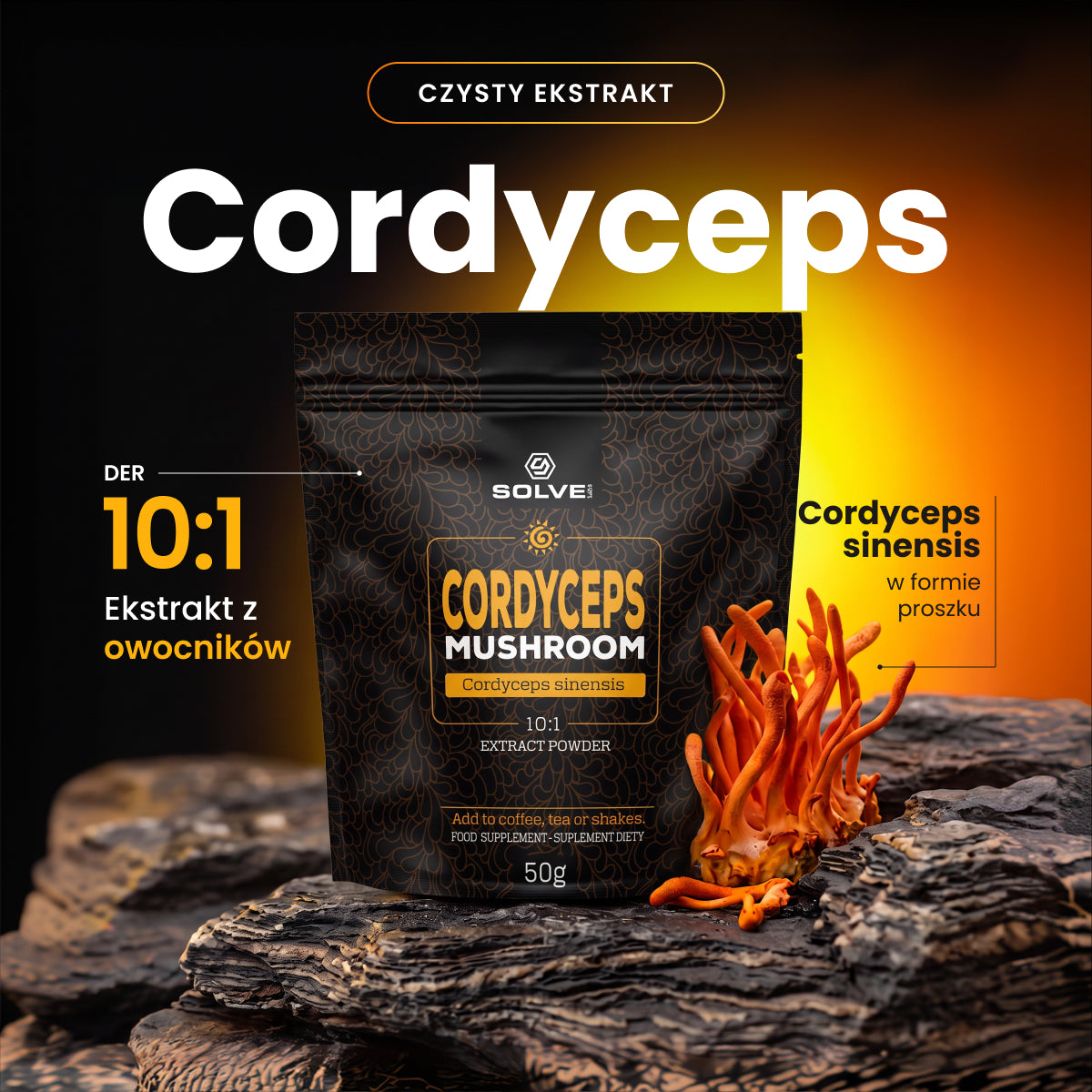 Cordyceps (Maczużnik chiński) – Ekstrakt DER 10:1 | Proszek – zdjęcie 3