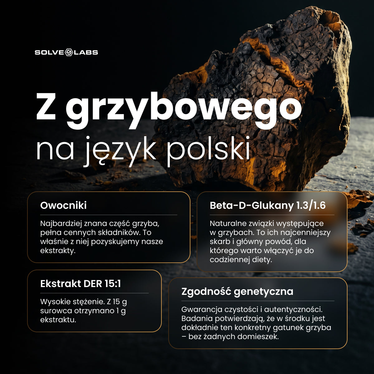 Chaga (Czaga, Błyskoporek podkorowy) – Ekstrakt DER 15:1 | Krople – zdjęcie 8