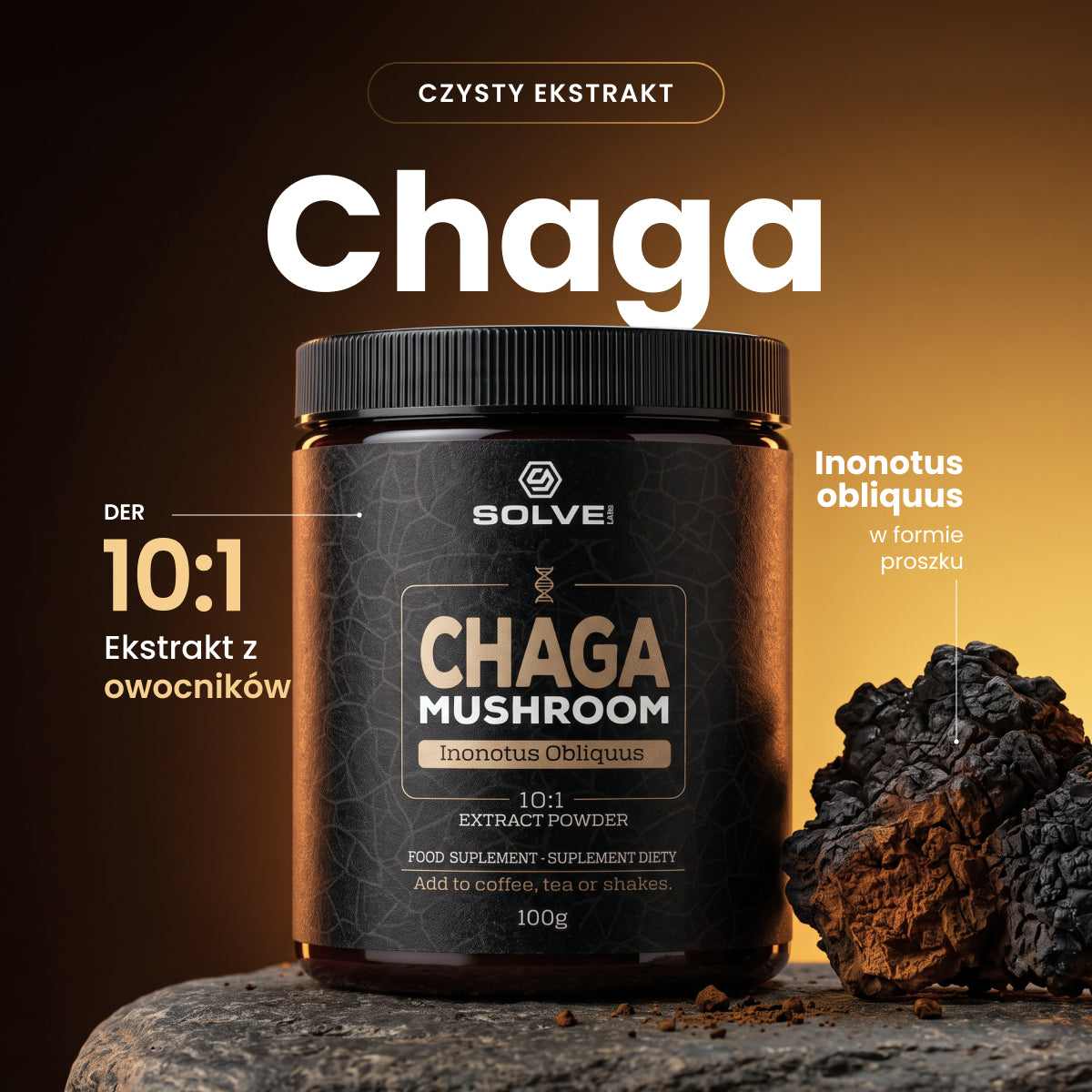 Chaga — ekstrakt 10:1 w proszku, 100 g