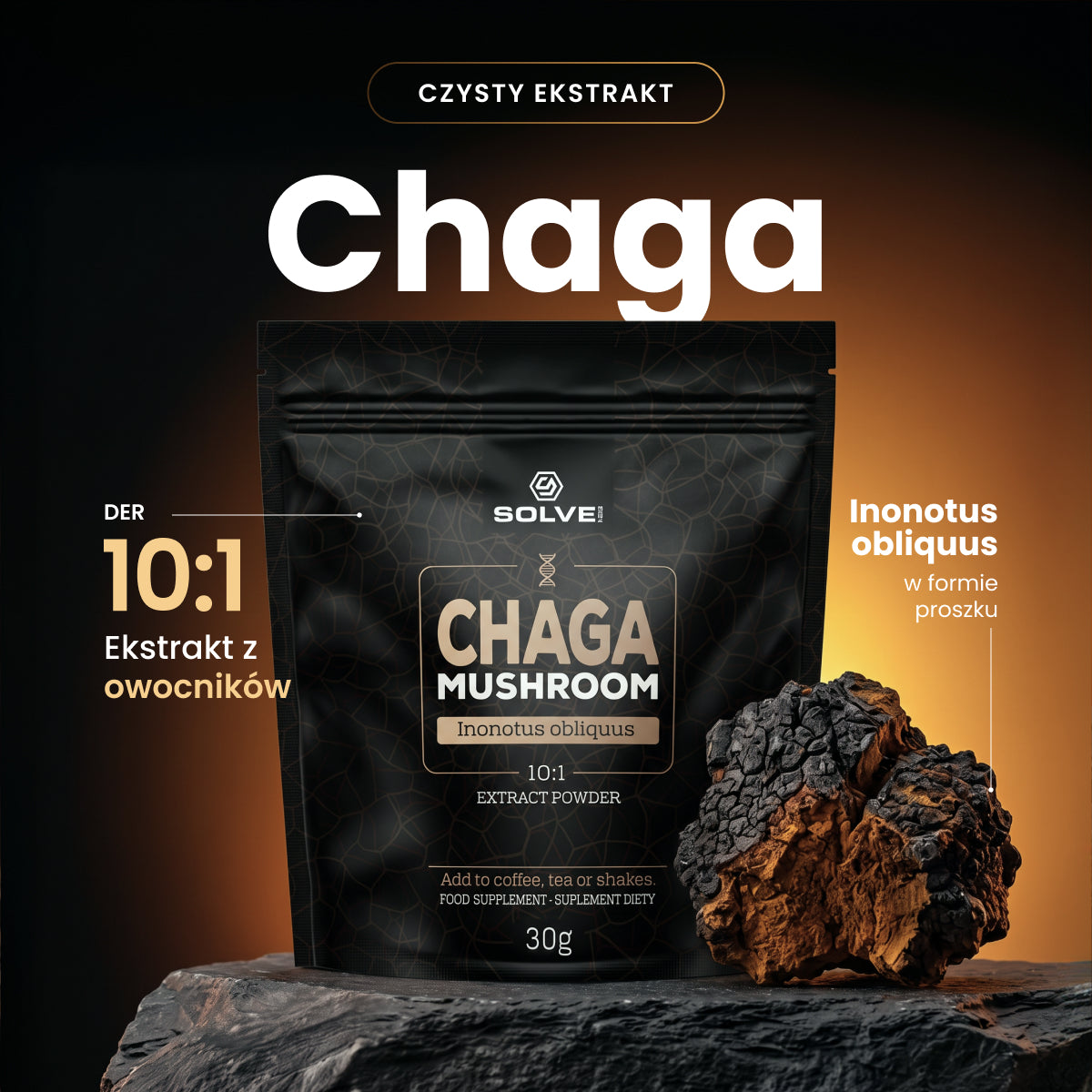 Chaga — ekstrakt 10:1 w proszku, 30 g