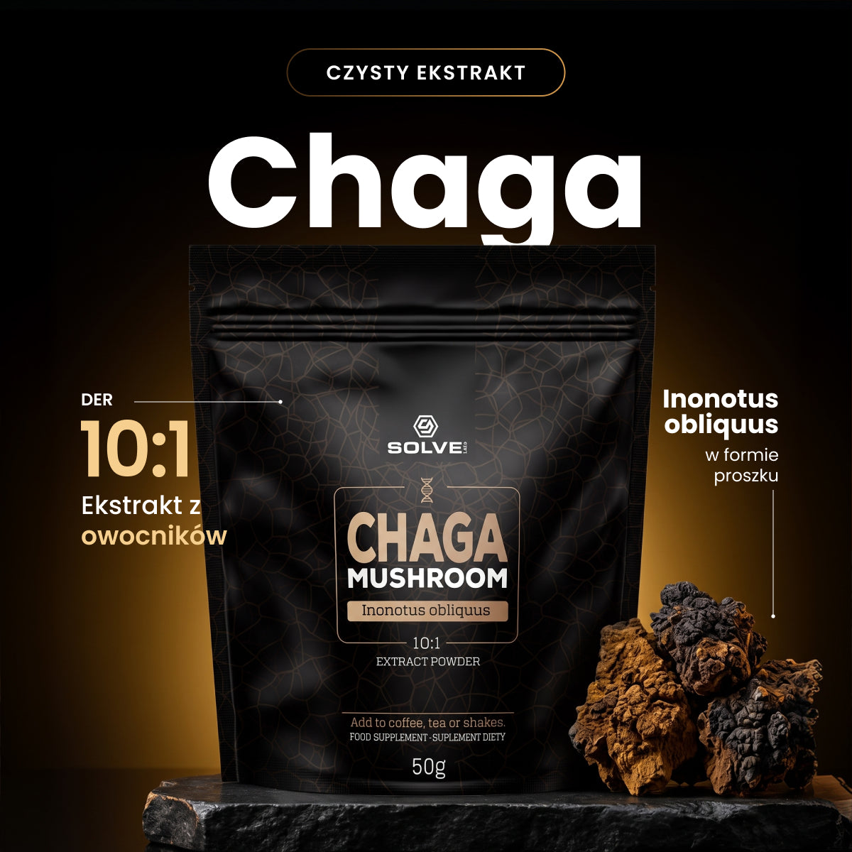 Chaga — ekstrakt 10:1 w proszku, 50 g