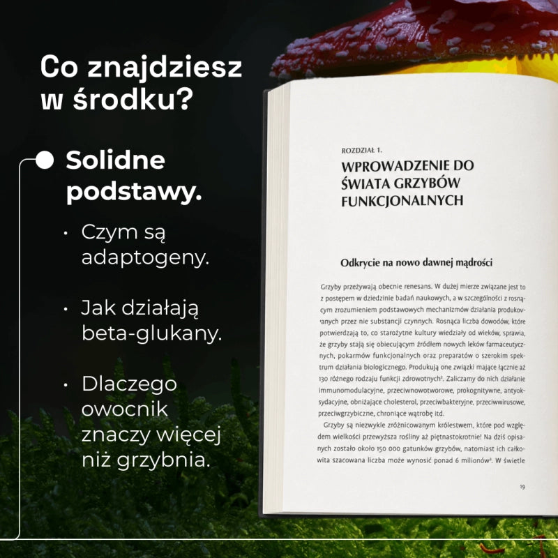 Grzyby funkcjonalne – książka Kuby Jezierskiego – zdjęcie 3
