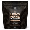 Lion's Mane (Soplówka jeżowata) 10:1 Mushroom Powder