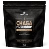 Chaga (Błyskoporek podkorowy) 10:1 Mushroom Powder