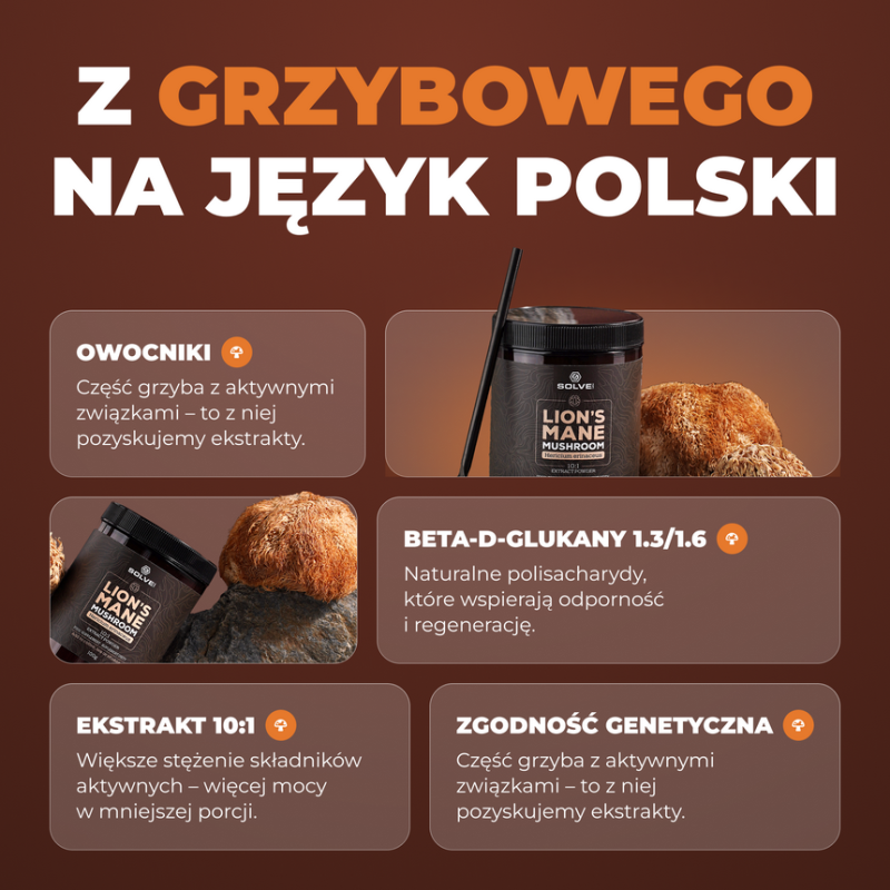 Soplówka Jeżowata (Lion's Mane) mushroom powder 10:1