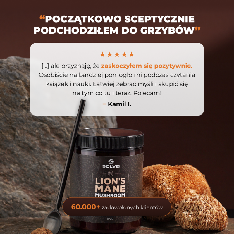 Soplówka Jeżowata (Lion's Mane) mushroom powder 10:1