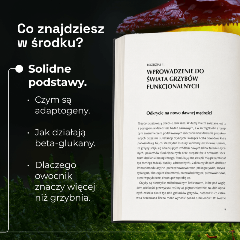 Grzyby funkcjonalne: W głąb mechanizmów i zastosowań modifikatorów ludzkiej biologii (Książka)