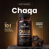 Chaga (Czaga, Błyskoporek podkorowy) – Ekstrakt DER 10:1 | Kapsułki – zdjęcie 2