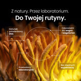 Cordyceps (Maczużnik chiński) – Ekstrakt DER 15:1 | Krople (60 ml) – zdjęcie 3