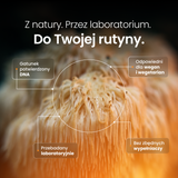 Soplówka Jeżowata (Lion's Mane) – Ekstrakt DER 15:1 | Krople (60 ml) – zdjęcie 3