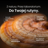 Reishi (Lakownica żółtawa) – Ekstrakt DER 10:1 | Proszek – zdjęcie 5