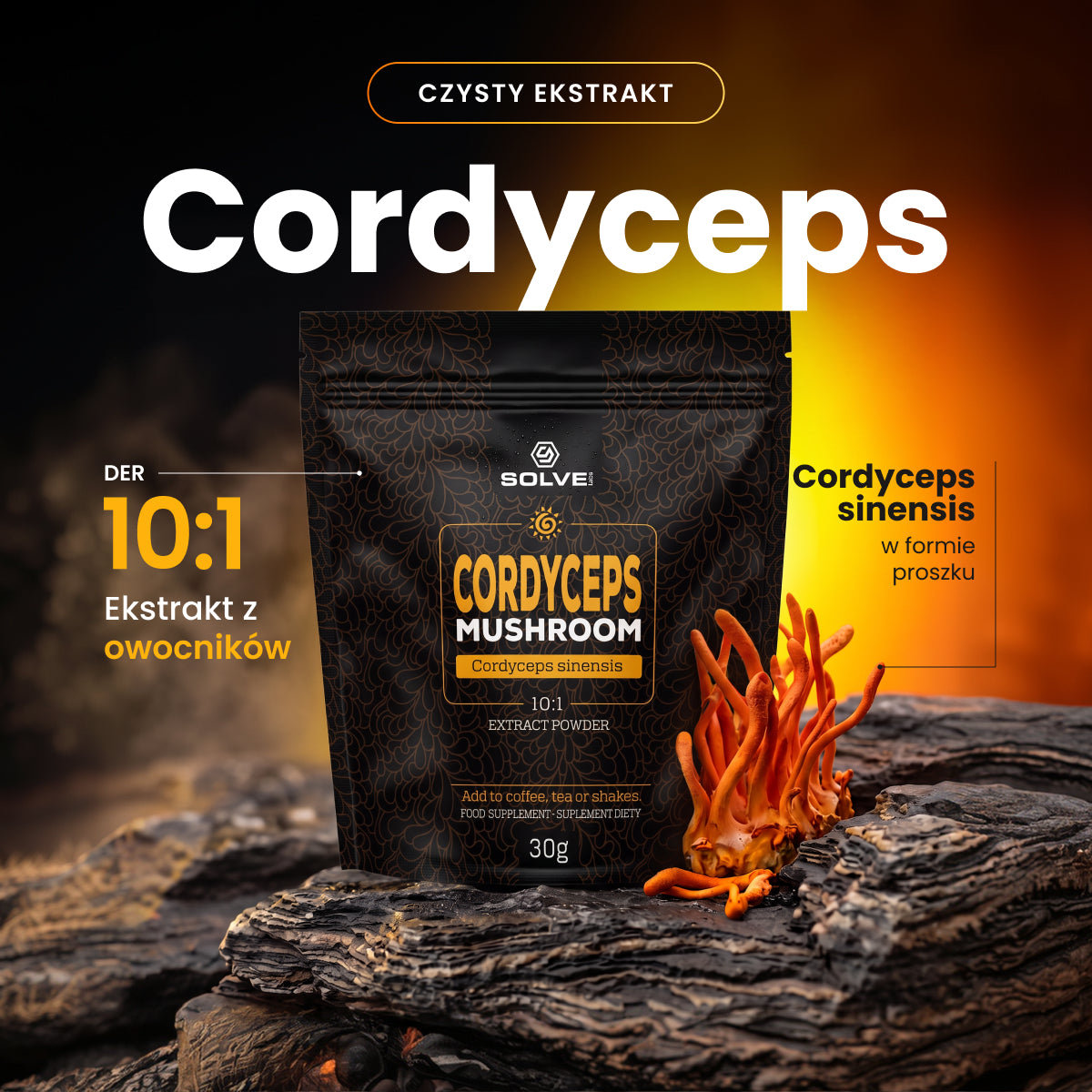 Cordyceps (Maczużnik chiński) – Ekstrakt DER 10:1 | Proszek – zdjęcie 2