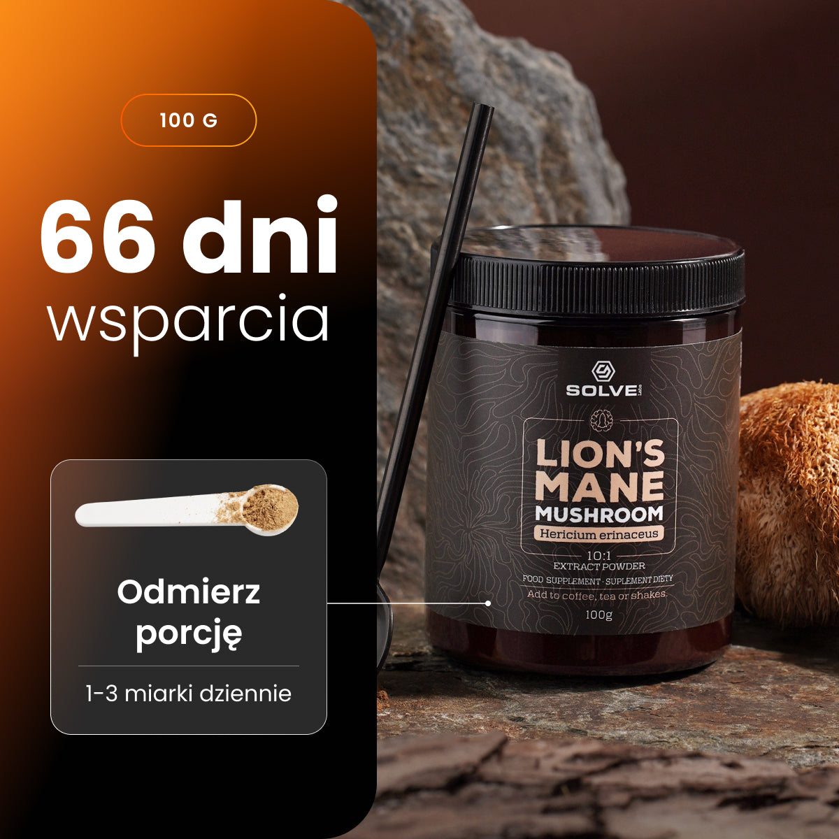 Soplówka Jeżowata (Lion's Mane) – Ekstrakt DER 10:1 | Proszek – zdjęcie 8