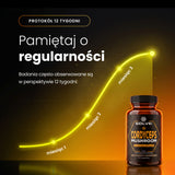 Cordyceps (Maczużnik chiński) – Ekstrakt DER 10:1 | Kapsułki – zdjęcie 6