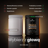 Chaga (Czaga, Błyskoporek podkorowy) – Ekstrakt DER 10:1 | Proszek – zdjęcie 12