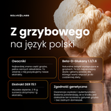 Soplówka Jeżowata (Lion's Mane) – Ekstrakt DER 15:1 | Krople (60 ml) – zdjęcie 9