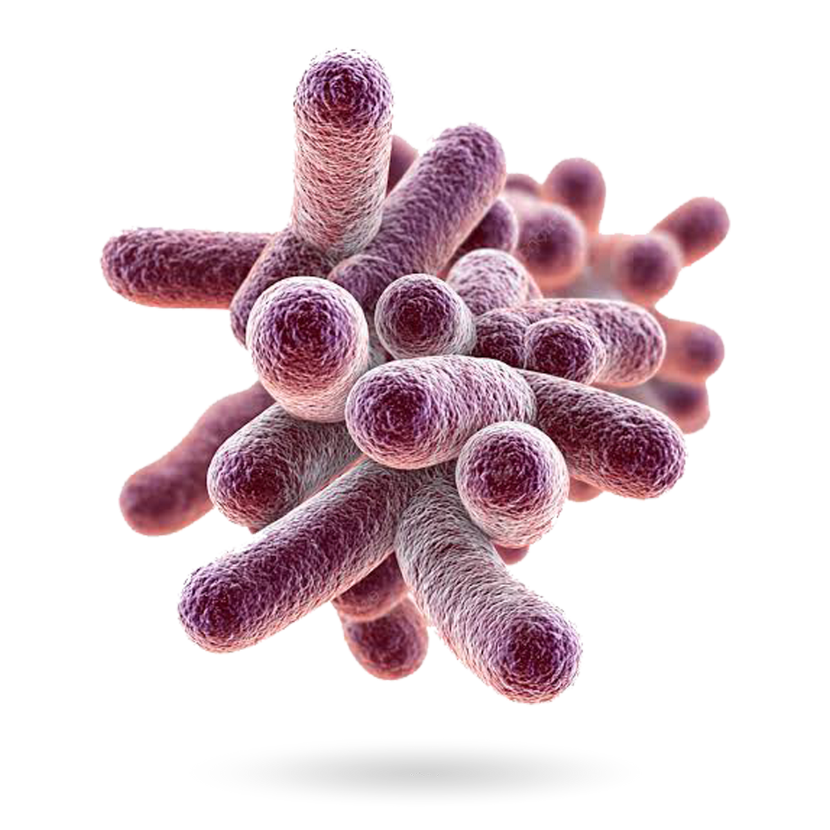 Probiotyki