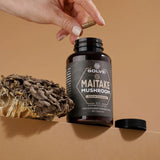 Maitake (Żagwica Listkowata) – Ekstrakt 10:1, kapsułki – zdjęcie 3