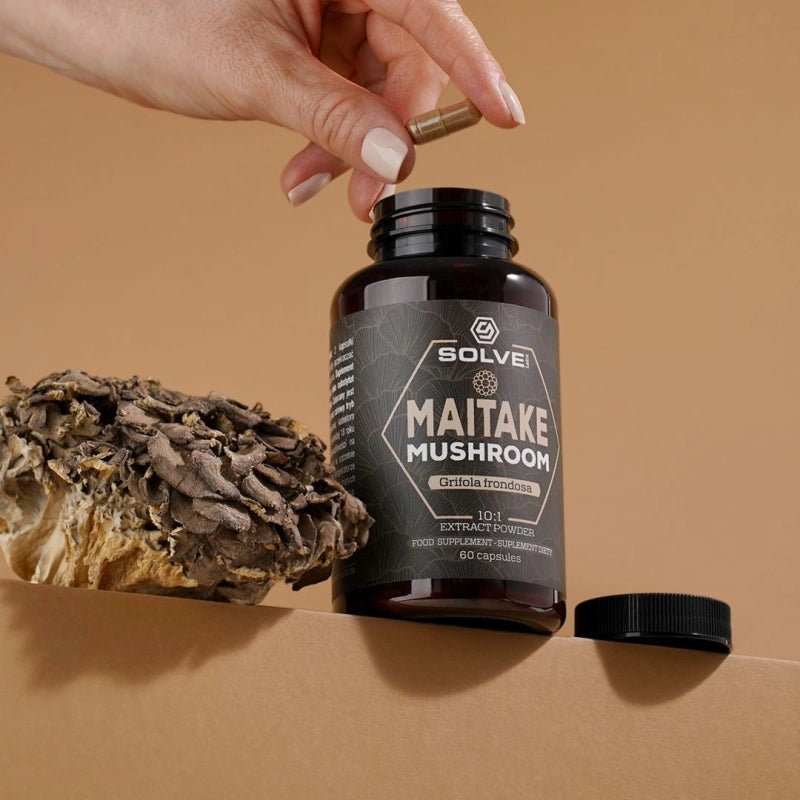 Maitake (Żagwica Listkowata) – Ekstrakt 10:1, kapsułki – zdjęcie 3