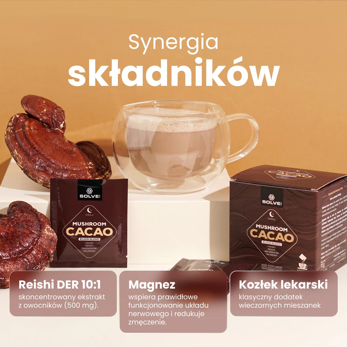 Mushroom Cacao — synergia składników