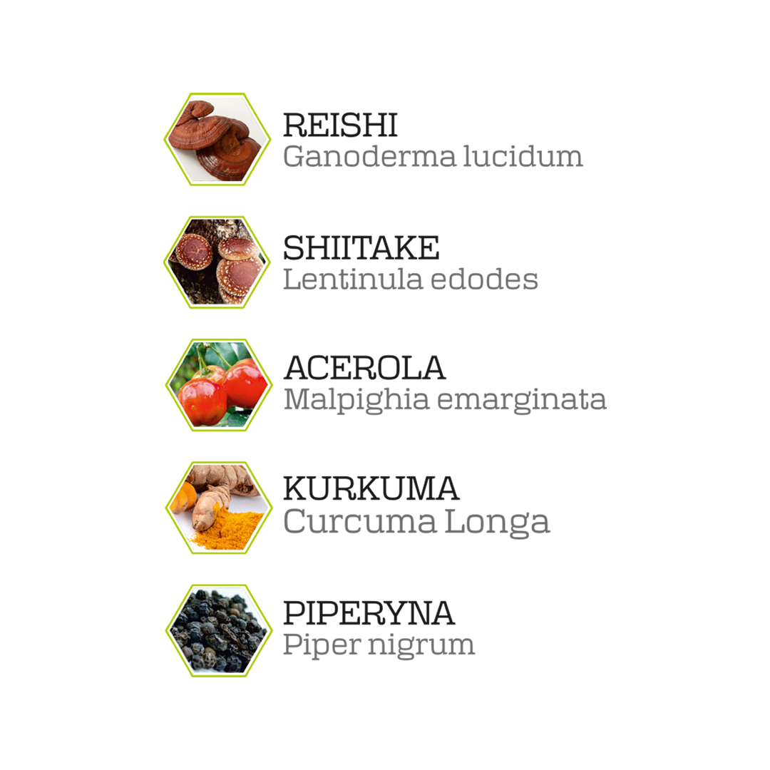 Składniki formuły Myco Defend