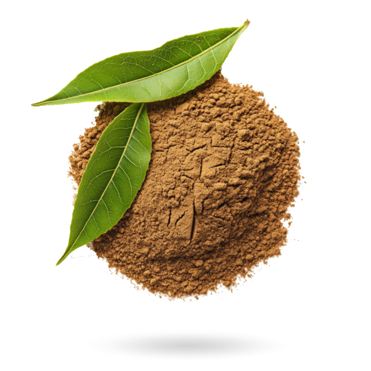 Mushroom Yerba Drink